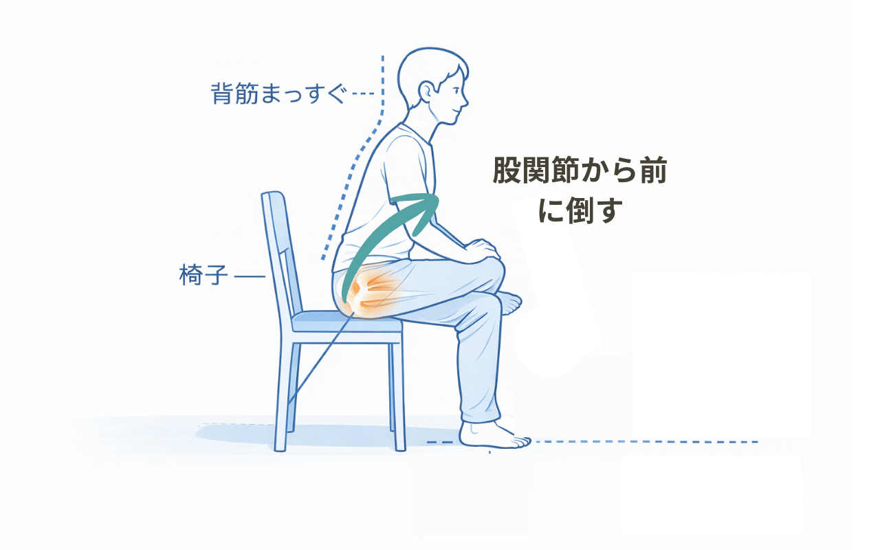 お尻のストレッチ(中殿筋)のやり方:椅子に座り足を組んで上体を前に倒す