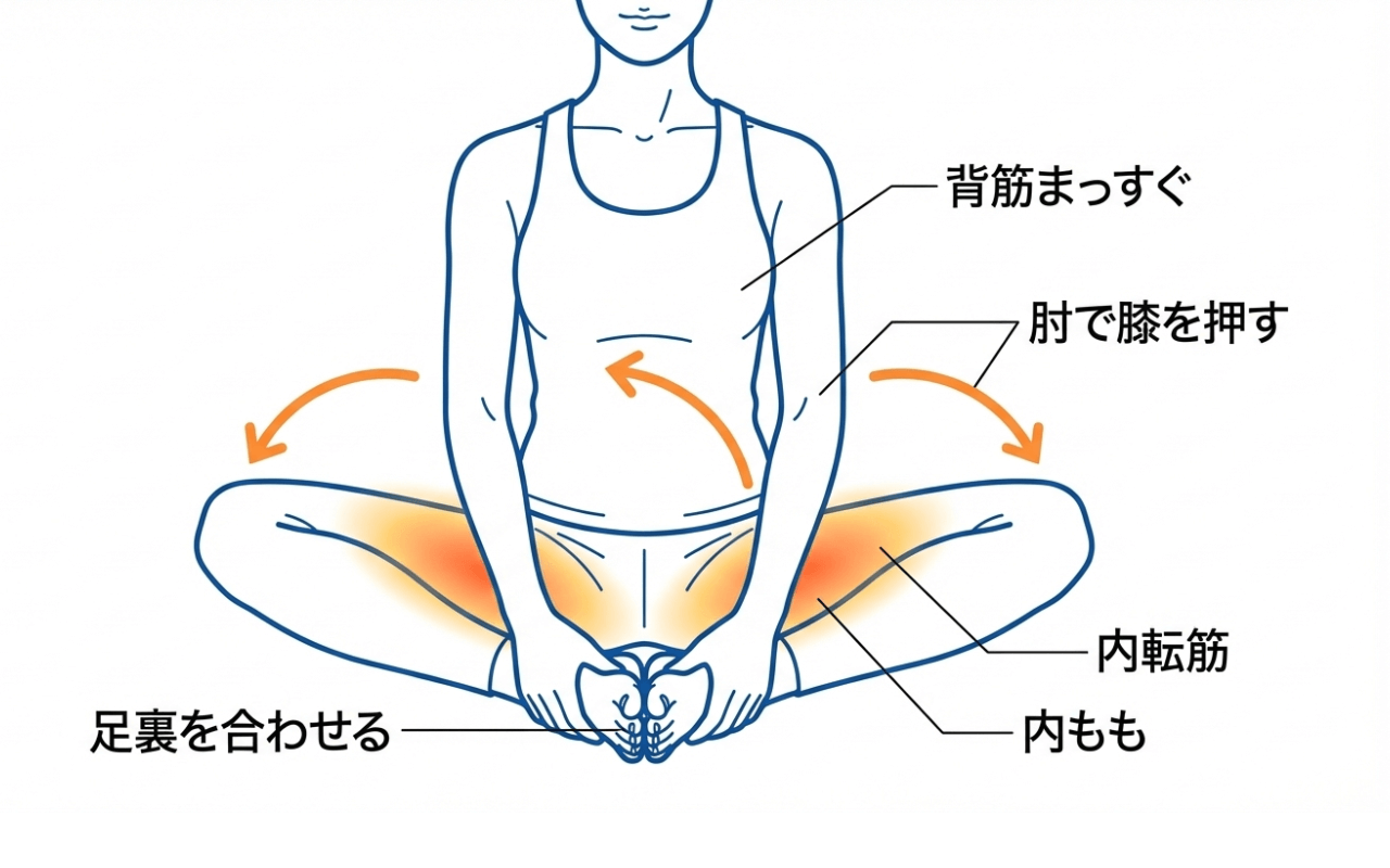 内ももストレッチ(内転筋群)のやり方:床に座り両足の裏を合わせて上体を前に倒す