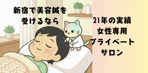 新宿で美容鍼を受けるなら｜美容鍼21年の実績・女性専用プライベートサロンの施術イメージ